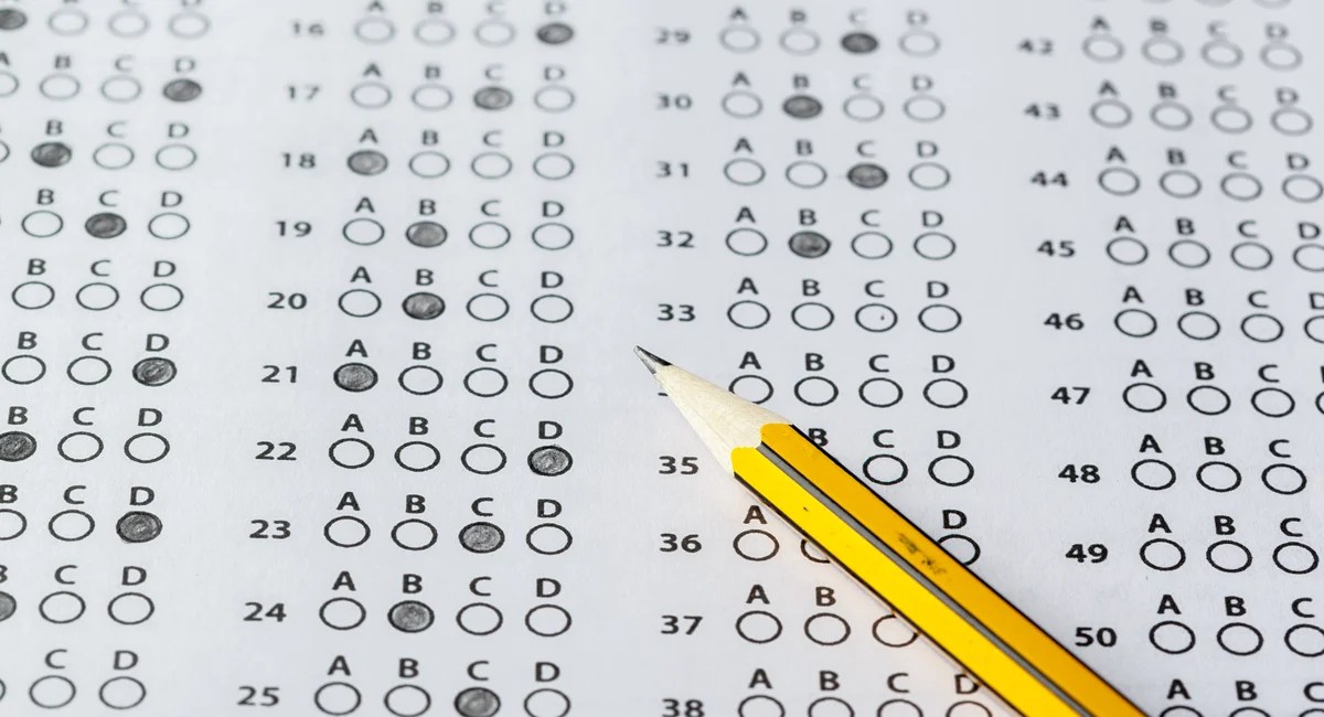 NYC Reading Scores: What's Behind the Dip? (2026)